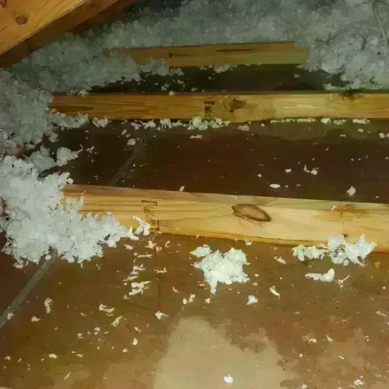 Attic Water Damage in Herriman, UT